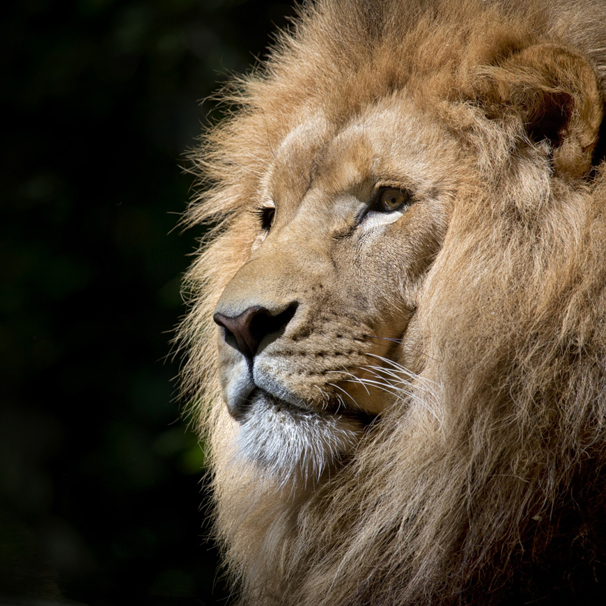 چطور در برنامه‌نویسی موفق شویم